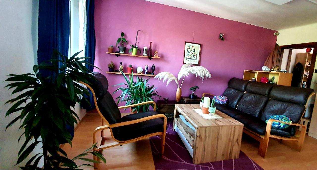 Entire House In The Heart Of Kozana Apartment Доброво Екстериор снимка